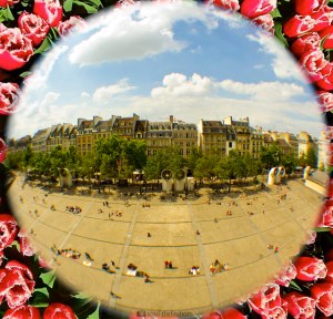 pompidou, Paris, fisheye, rose